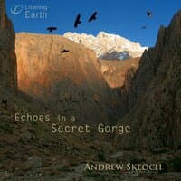 Echoes in a Secret Gorge