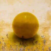 Yellow Ball