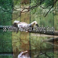 38 Stormy Auras for a Strong Study