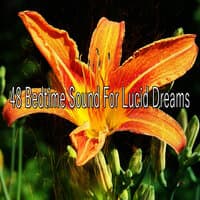 48 Bedtime Sound for Lucid Dreams