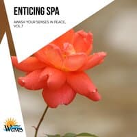 Enticing Spa - Awash Your Senses in Peace, Vol.7