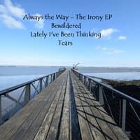 The Irony EP