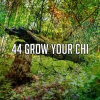 44 Grow Your Chi