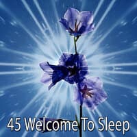 45 Welcome to Sle - EP