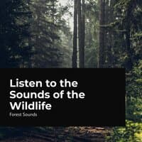 Listen to the Sounds of the Wildlife