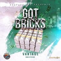 Got Bricks