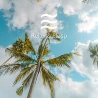 White Noise Sleep Therapy for Fast and Deep Sleep Summer Collection