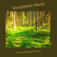 Warm Saxophone Tunes, Vol. 3