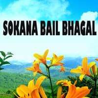 Sokana Bail Bhagal