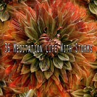 36 Meditation Life with Storms