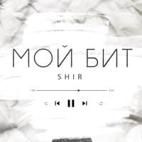 Мой бит