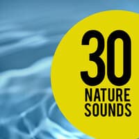 30 Nature Sounds