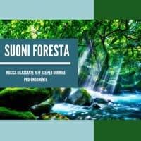 Suoni foresta - musica rilassante new age per dormire profondamente