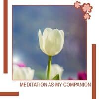 Meditation As My Companion