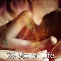 28 Storm Life