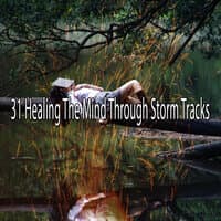 31 Healing the Mind Through Storm Tracks