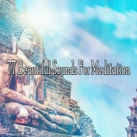 77 Beautiful Sounds for Meditation