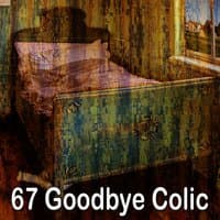 67 Goodbye Colic