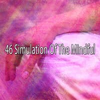 46 Simulation of the Mindful