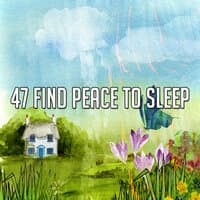 47 Find Peace to Sle - EP