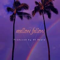 Mellow Fellow