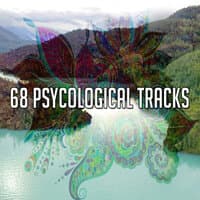 68 Psycological Tracks