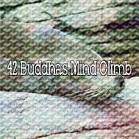 42 Buddhas Mind Climb