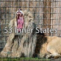 53 Inner States