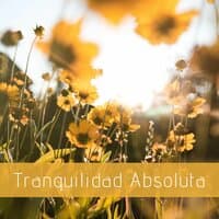 Tranquilidad Absoluta: Música Zen para Dominar la Relajación Profunda