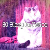 80 Sleep in Peace