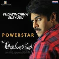 Vudayinchina Suryudu