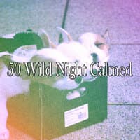 50 Wild Night Calmed