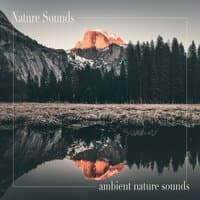 Ambient Nature Sounds