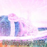 65 Soothing Slumber at Night