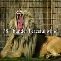 38 Thunder Peaceful Mind