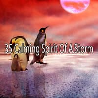 35 Calming Spirit of a Storm