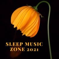 Sleep Music Zone 2021