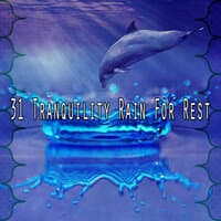 31 Tranquility Rain for Rest