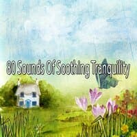 80 Sounds of Soothing Tranquility