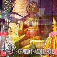 77 Peace of Mind Tranquil Soul