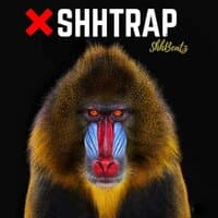 ShhTrap