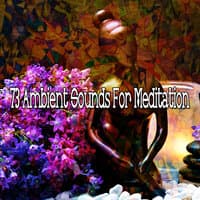 73 Ambient Sounds for Meditation