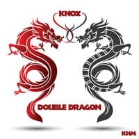 Double Dragon