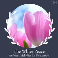 The White Peace - Ambient Melodies For Relaxation