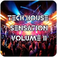 Tech House Sensation, Vol.11