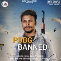 Pubg Banned