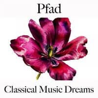 Pfad: Classical Music Dreams - Die Beste Musik Zum Entspannen