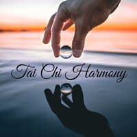 Tai Chi Harmony