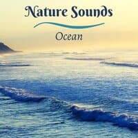 Nature Sounds Ocean - Calming Ocean Waves, Nature Sounds for Focusing