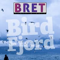 Bird Fjord